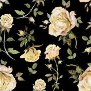 Meet your Posher, Simran